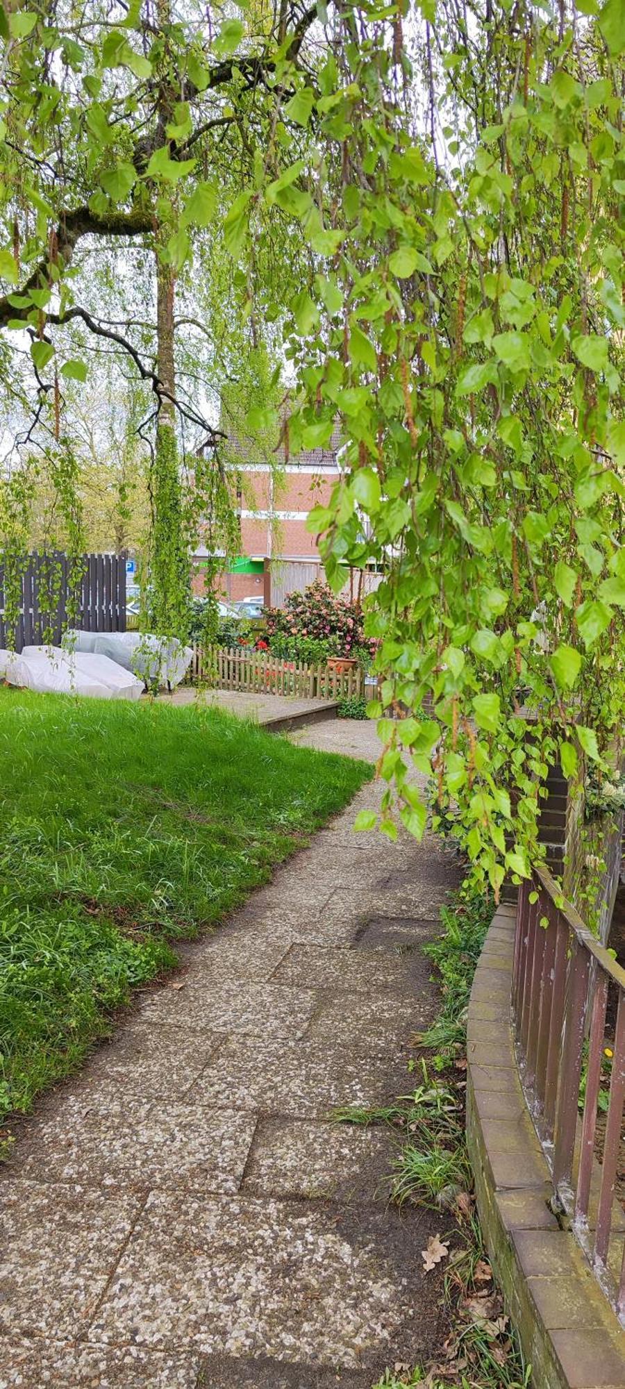 Ferienwohnung Im Herzen Der Lueneburger Heide Золтау Екстериор снимка